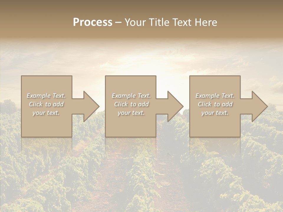 Dusk Mediterranean Cultivated PowerPoint Template