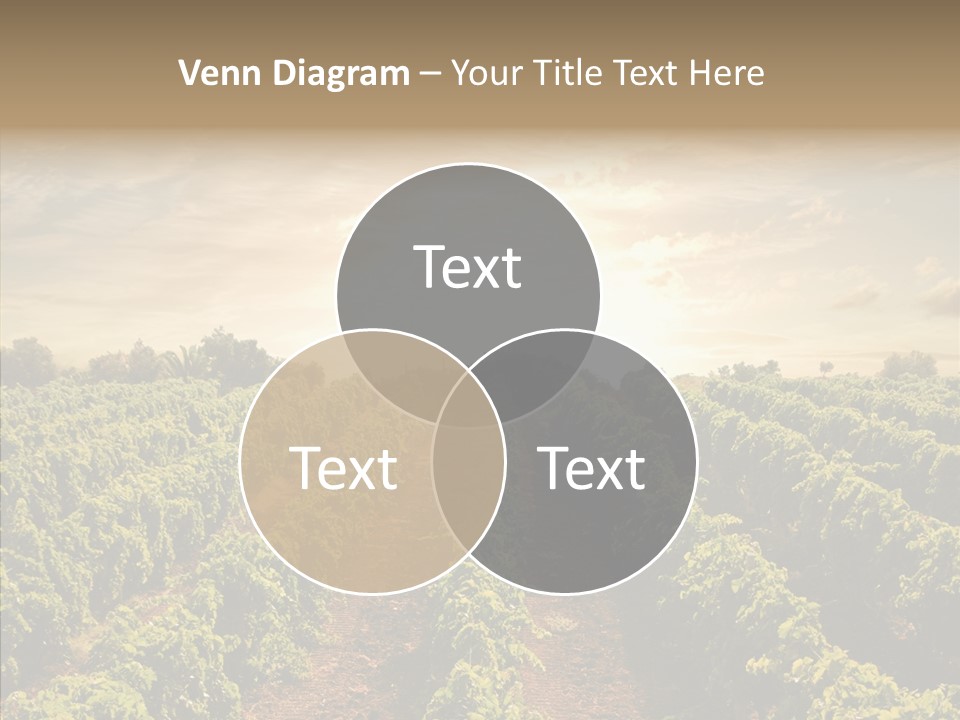 Dusk Mediterranean Cultivated PowerPoint Template