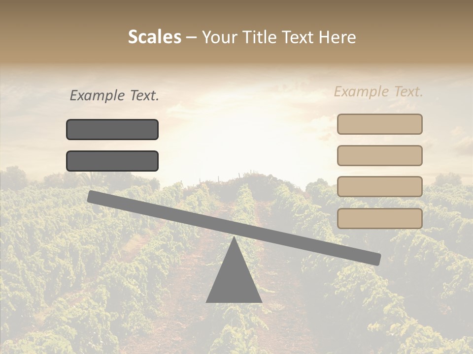 Dusk Mediterranean Cultivated PowerPoint Template