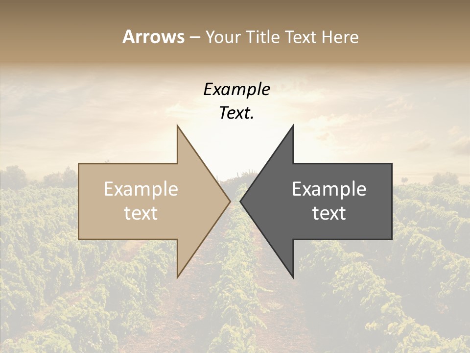 Dusk Mediterranean Cultivated PowerPoint Template