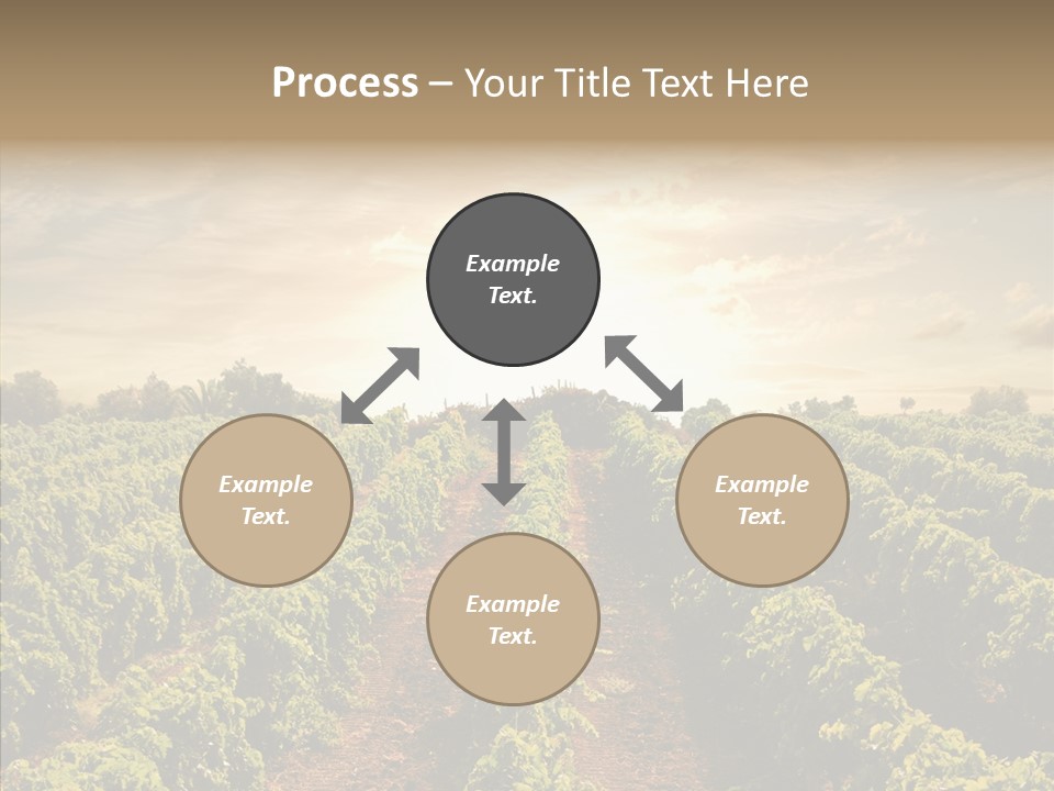 Dusk Mediterranean Cultivated PowerPoint Template
