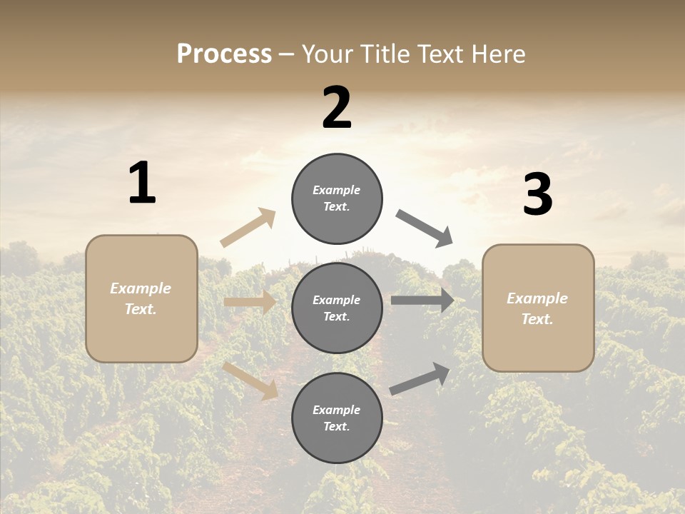 Dusk Mediterranean Cultivated PowerPoint Template