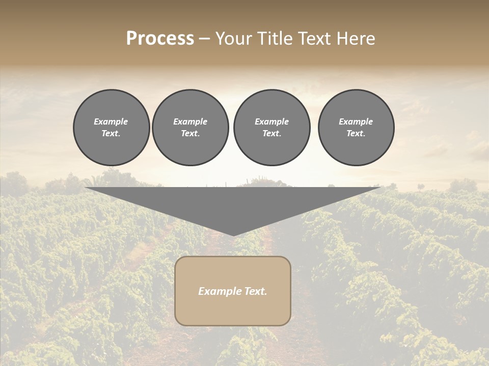 Dusk Mediterranean Cultivated PowerPoint Template