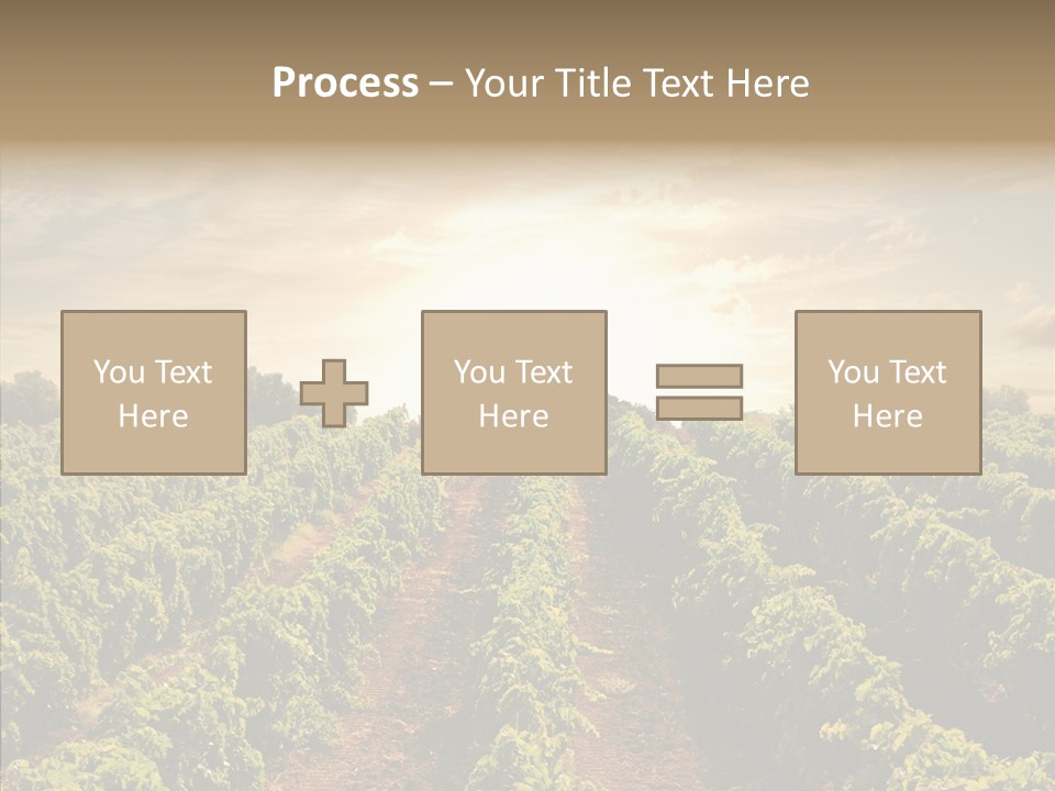 Dusk Mediterranean Cultivated PowerPoint Template