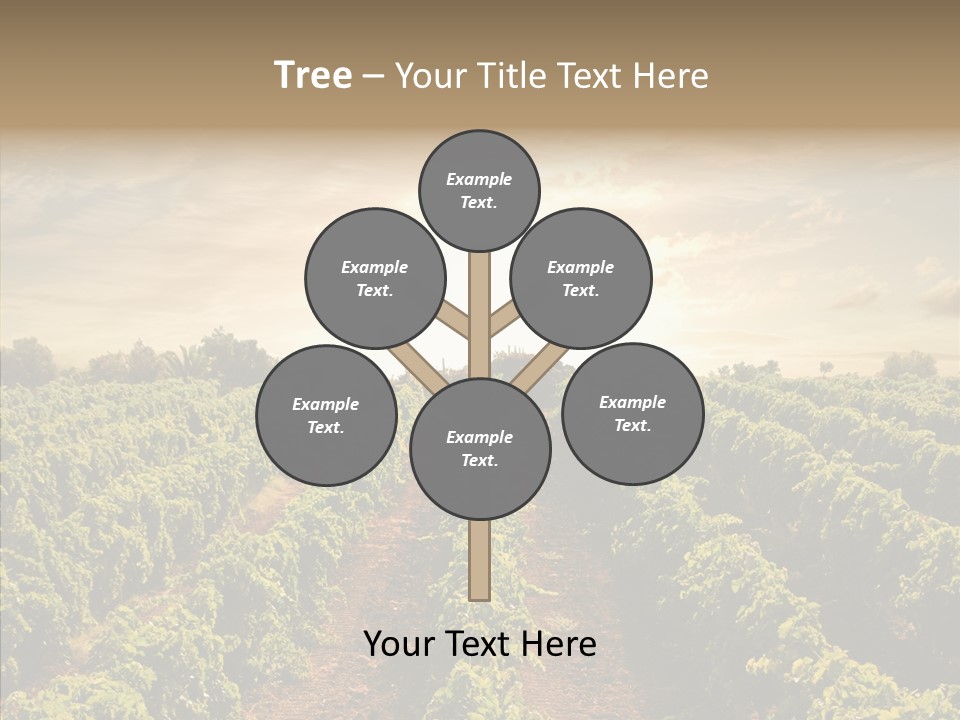 Dusk Mediterranean Cultivated PowerPoint Template