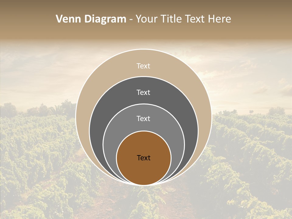 Dusk Mediterranean Cultivated PowerPoint Template