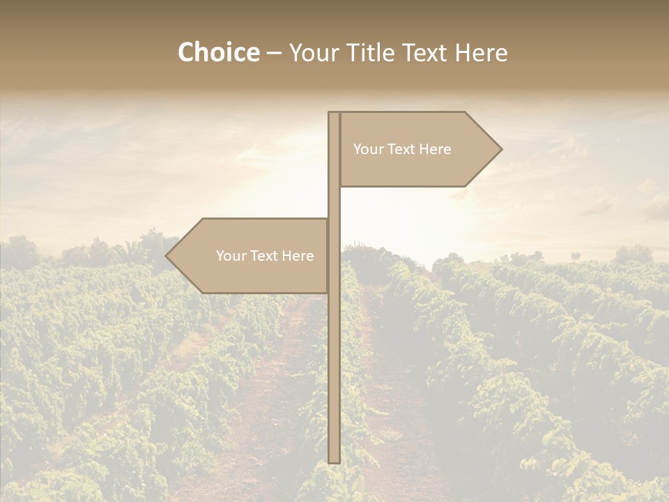 Dusk Mediterranean Cultivated PowerPoint Template