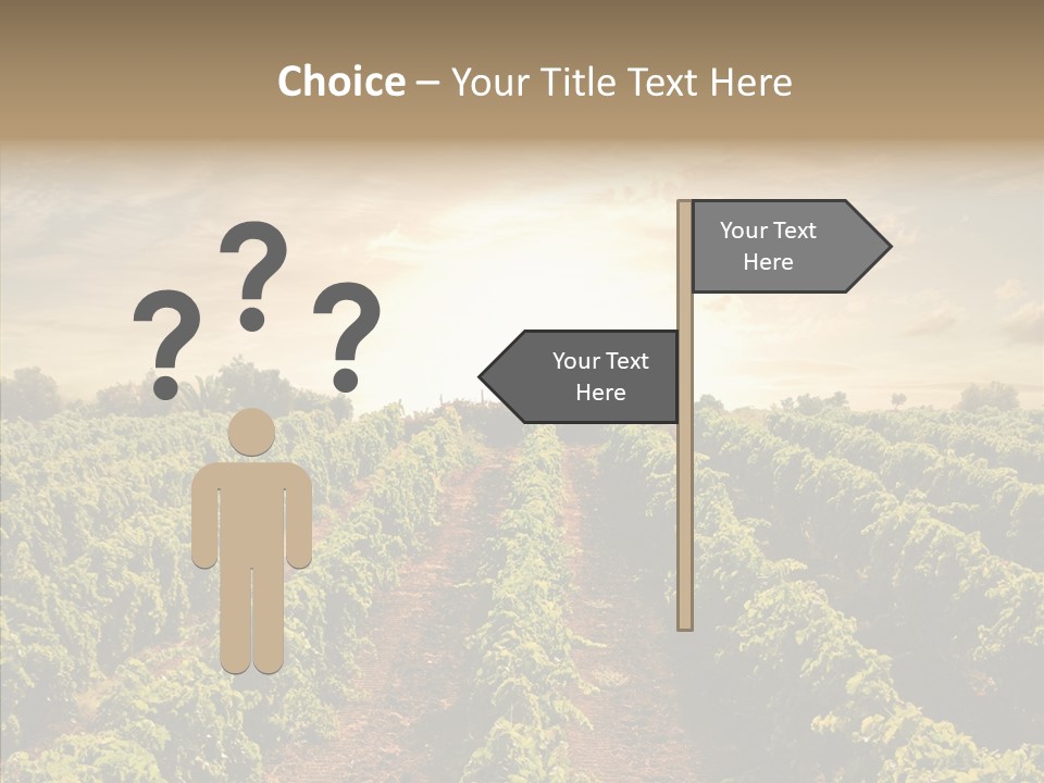 Dusk Mediterranean Cultivated PowerPoint Template