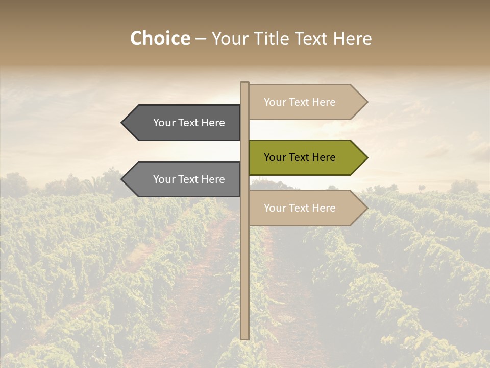 Dusk Mediterranean Cultivated PowerPoint Template