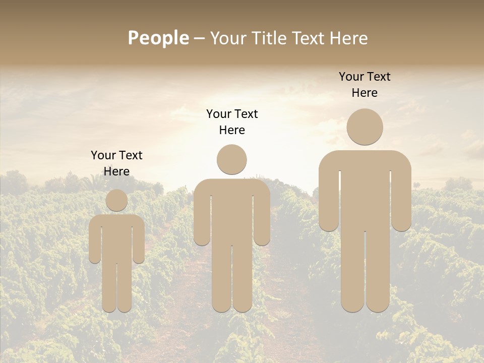 Dusk Mediterranean Cultivated PowerPoint Template