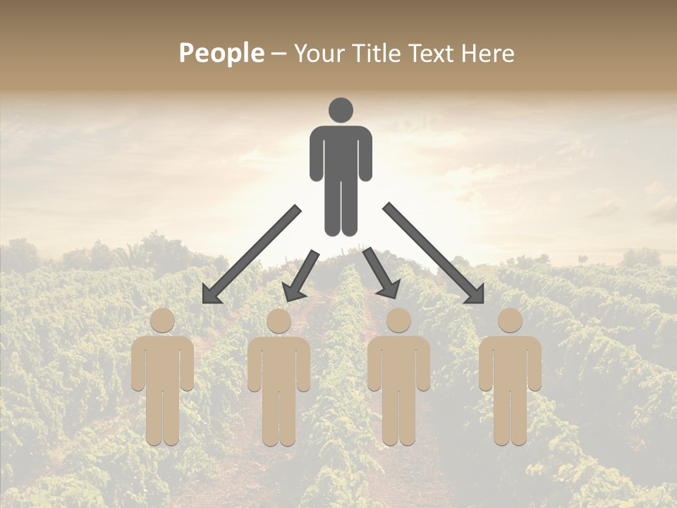 Dusk Mediterranean Cultivated PowerPoint Template