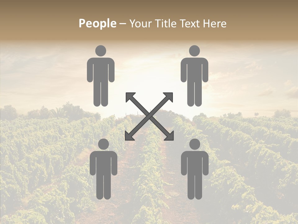 Dusk Mediterranean Cultivated PowerPoint Template