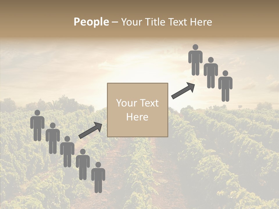 Dusk Mediterranean Cultivated PowerPoint Template