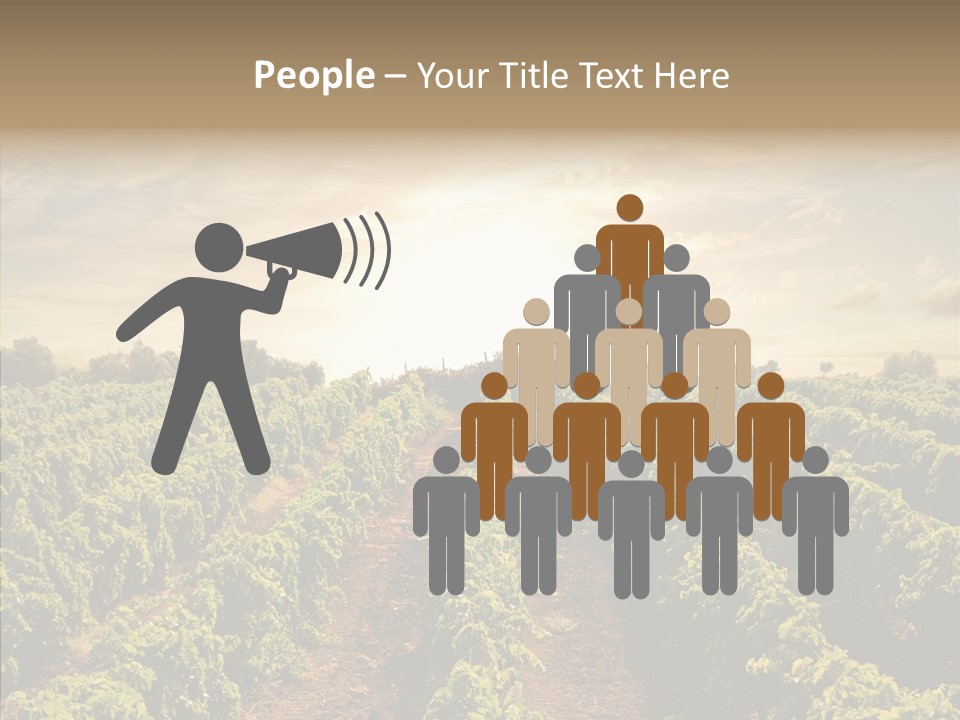 Dusk Mediterranean Cultivated PowerPoint Template