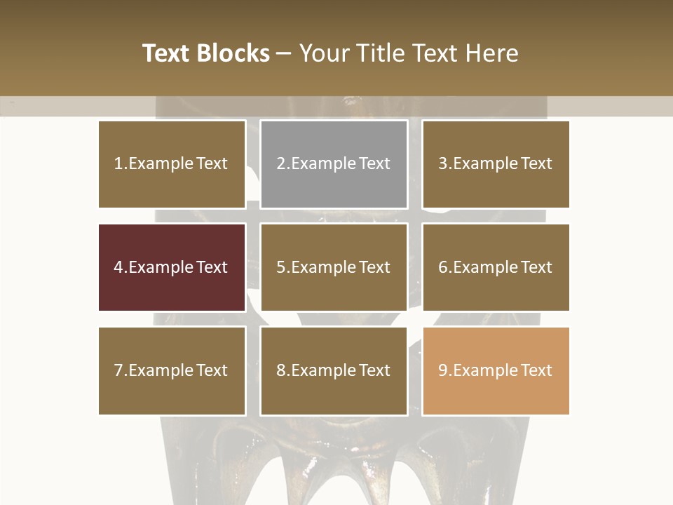 Zealand Fiji Samoan PowerPoint Template