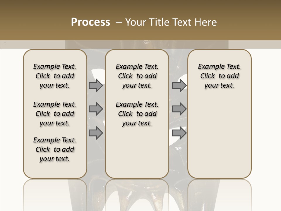 Zealand Fiji Samoan PowerPoint Template