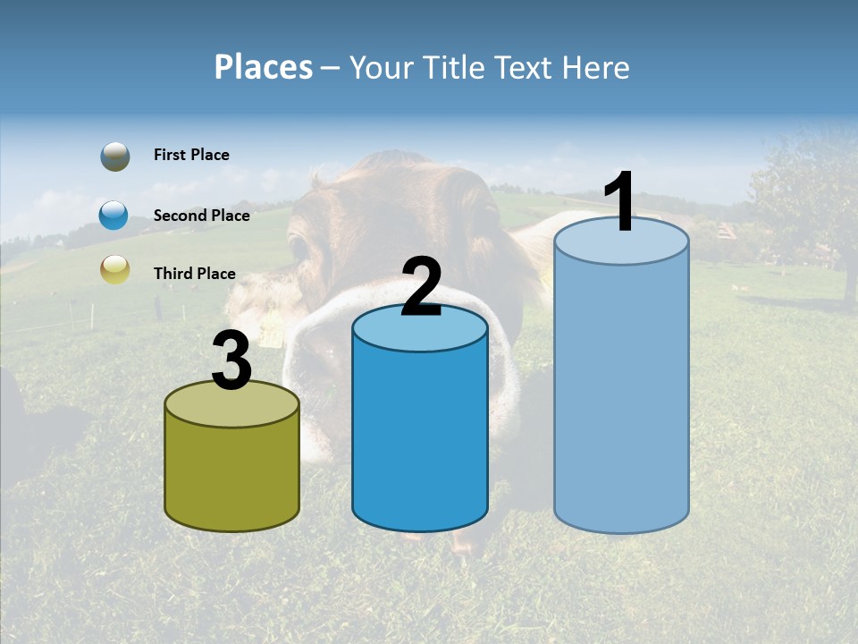 Hay Fish Sky PowerPoint Template