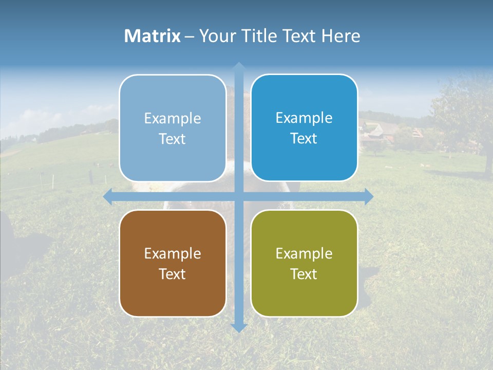 Hay Fish Sky PowerPoint Template