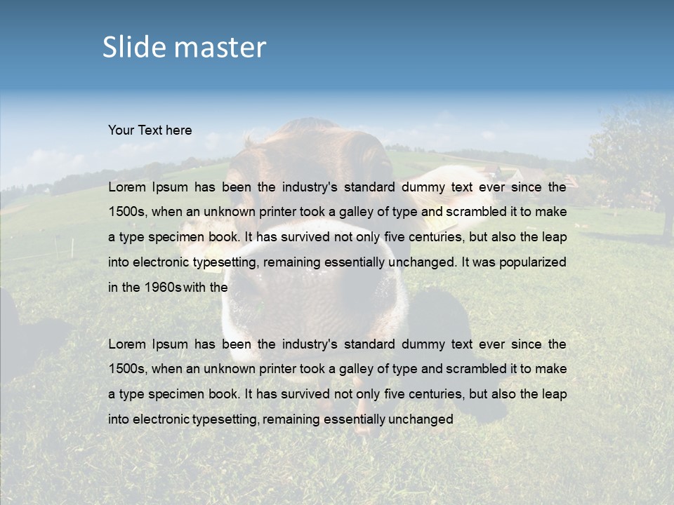 Hay Fish Sky PowerPoint Template