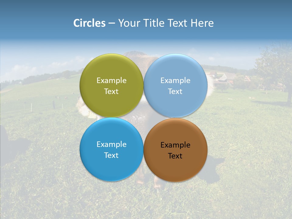 Hay Fish Sky PowerPoint Template