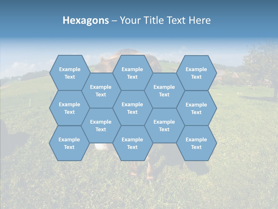 Hay Fish Sky PowerPoint Template