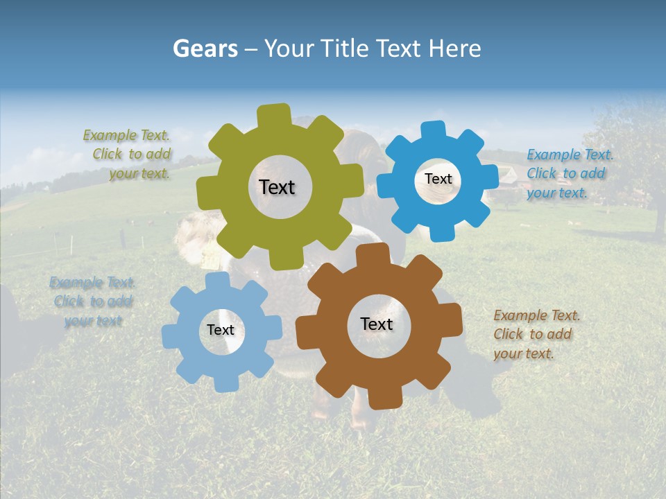 Hay Fish Sky PowerPoint Template