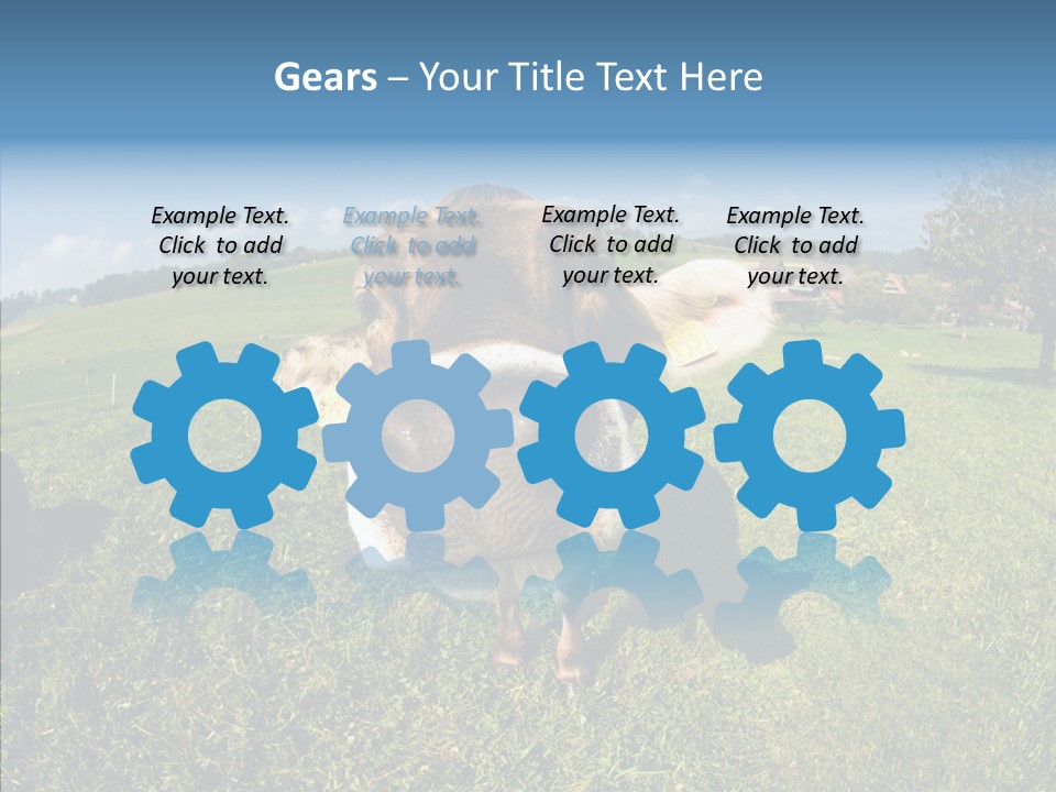 Hay Fish Sky PowerPoint Template