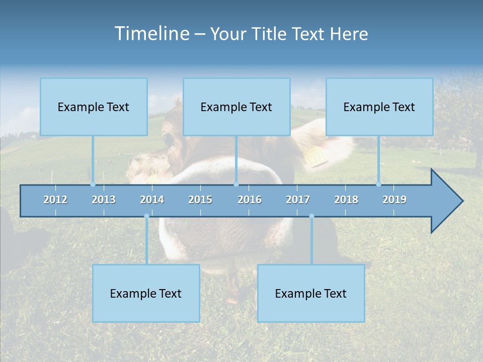 Hay Fish Sky PowerPoint Template