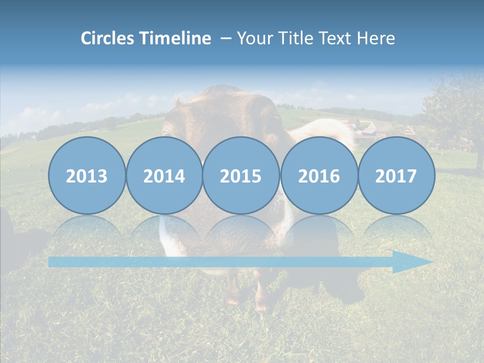 Hay Fish Sky PowerPoint Template