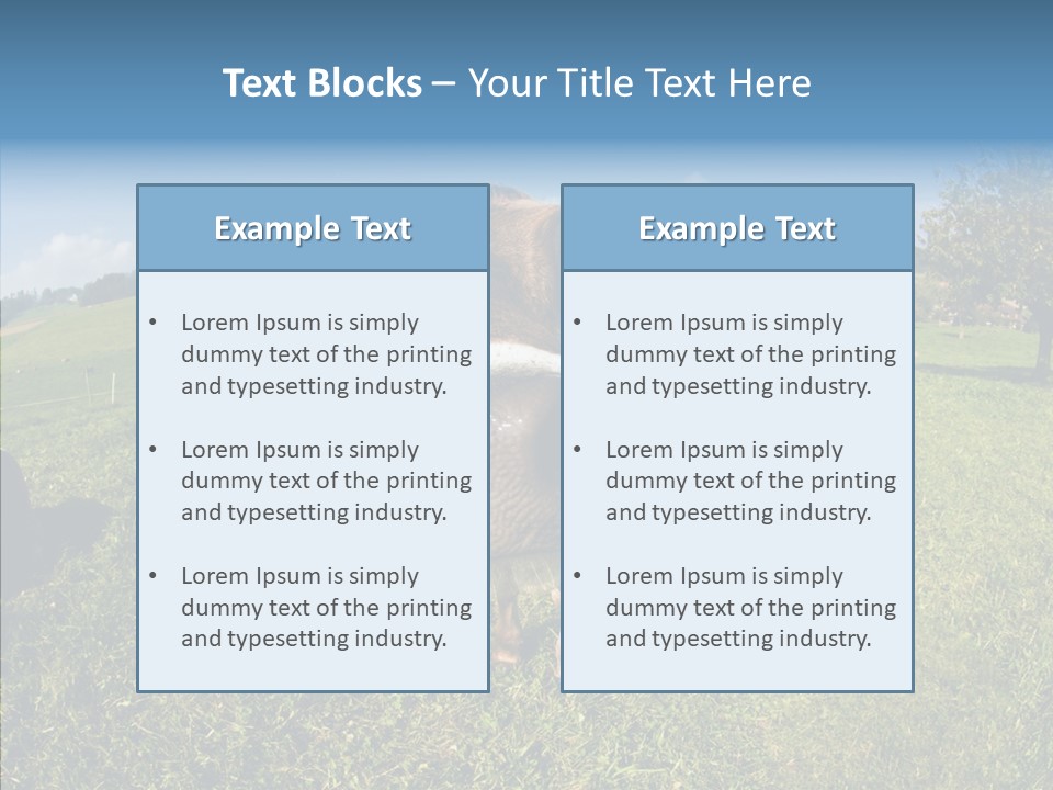 Hay Fish Sky PowerPoint Template