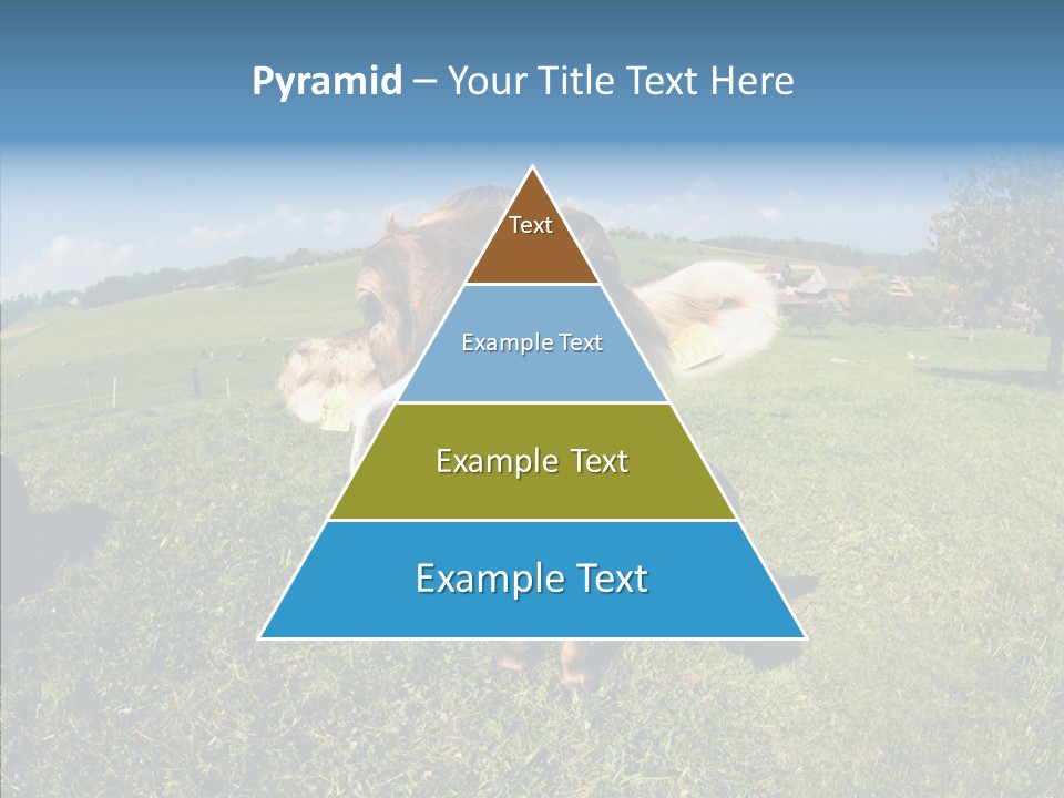 Hay Fish Sky PowerPoint Template