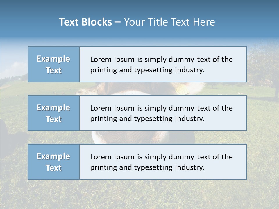 Hay Fish Sky PowerPoint Template