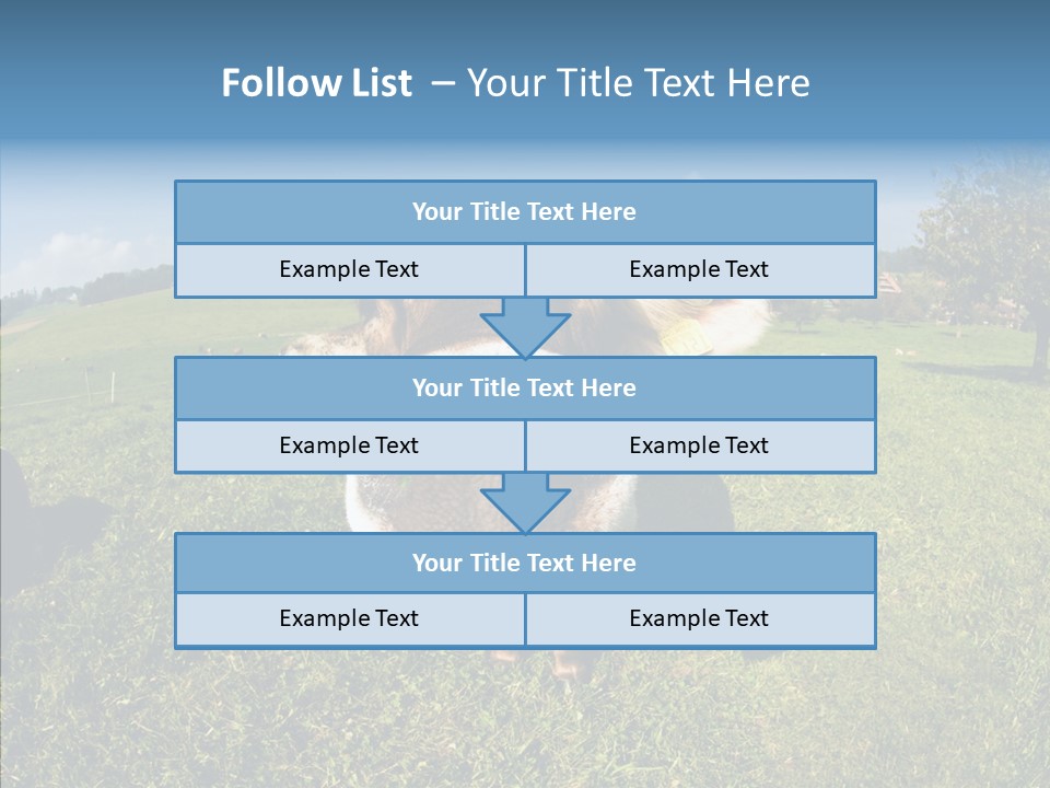 Hay Fish Sky PowerPoint Template