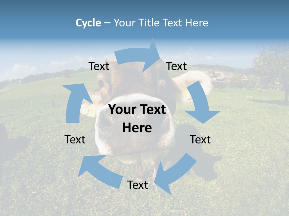 Hay Fish Sky PowerPoint Template