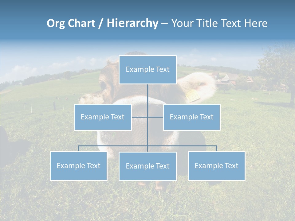 Hay Fish Sky PowerPoint Template