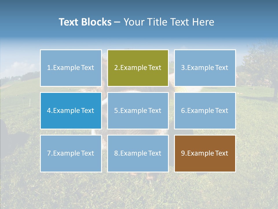 Hay Fish Sky PowerPoint Template