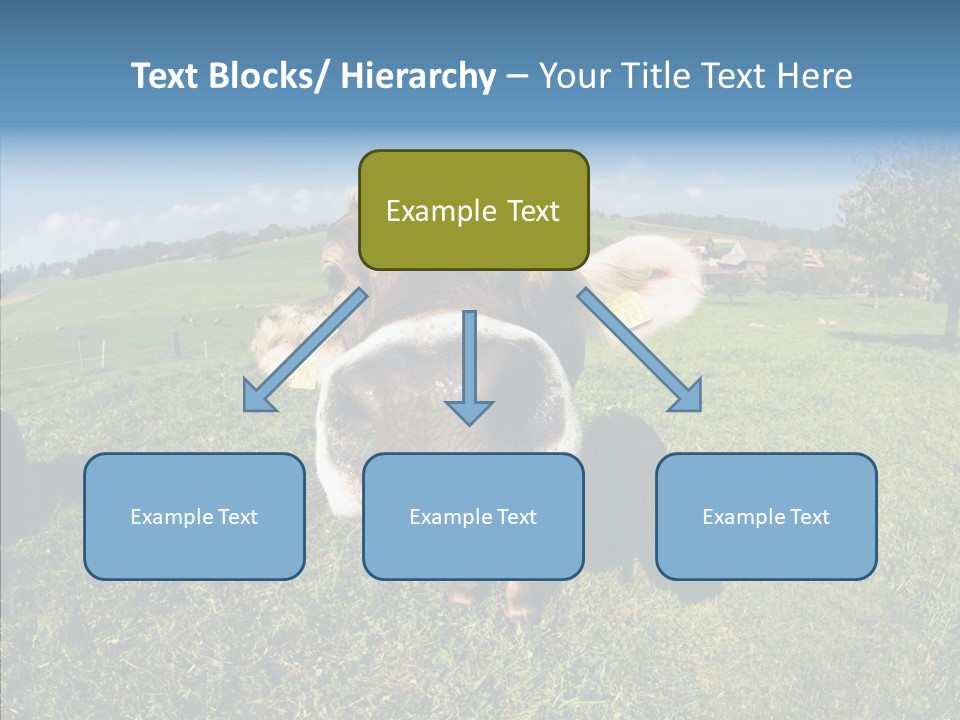 Hay Fish Sky PowerPoint Template