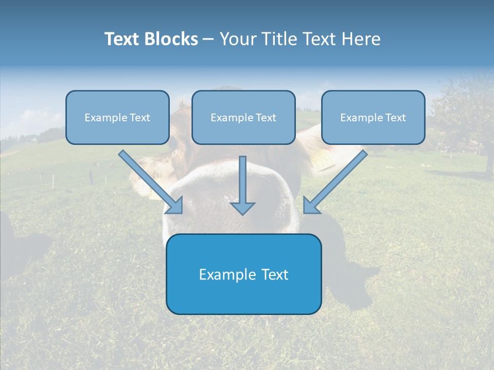 Hay Fish Sky PowerPoint Template