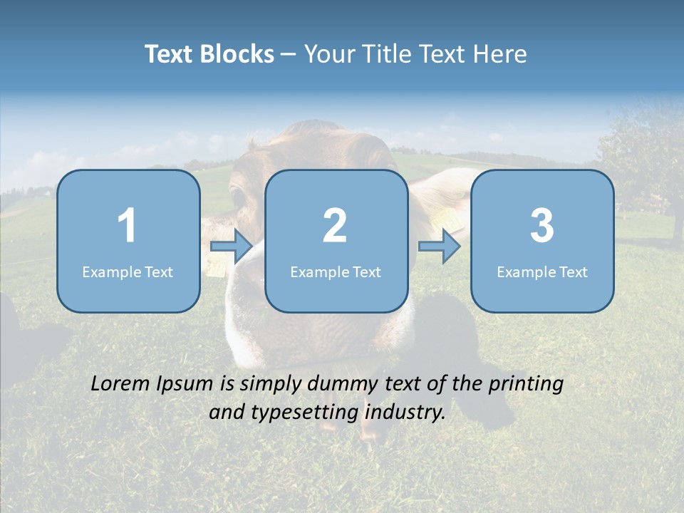 Hay Fish Sky PowerPoint Template