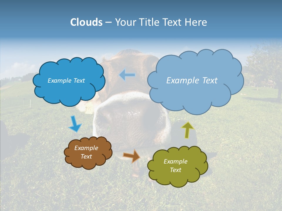 Hay Fish Sky PowerPoint Template