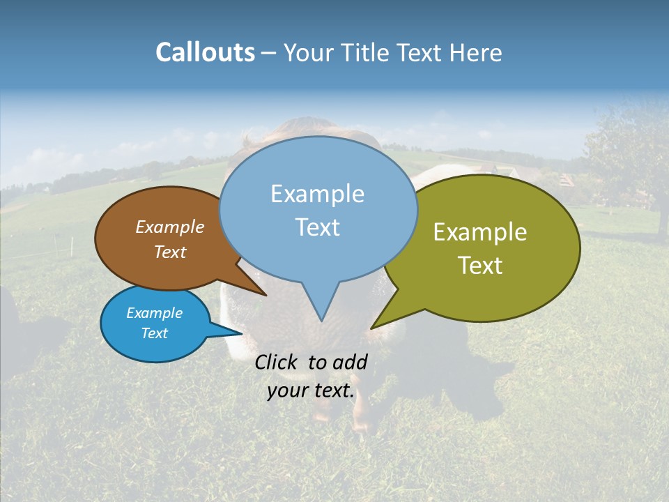 Hay Fish Sky PowerPoint Template