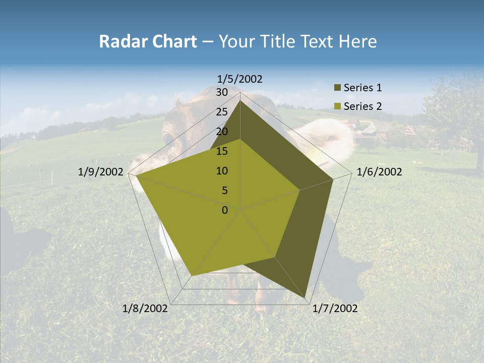 Hay Fish Sky PowerPoint Template
