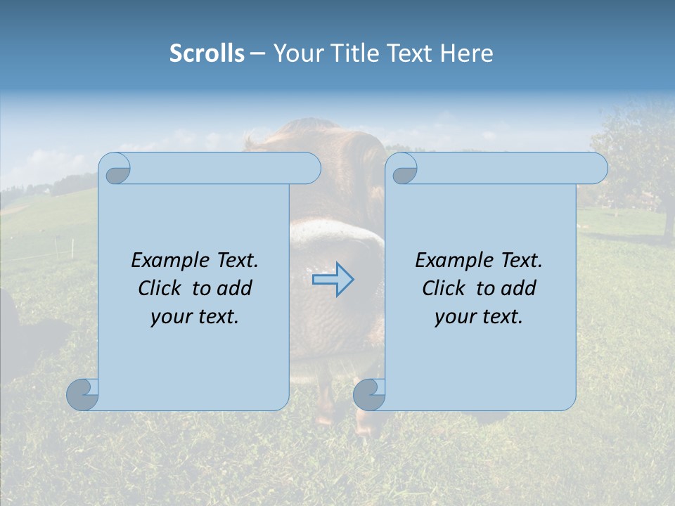 Hay Fish Sky PowerPoint Template