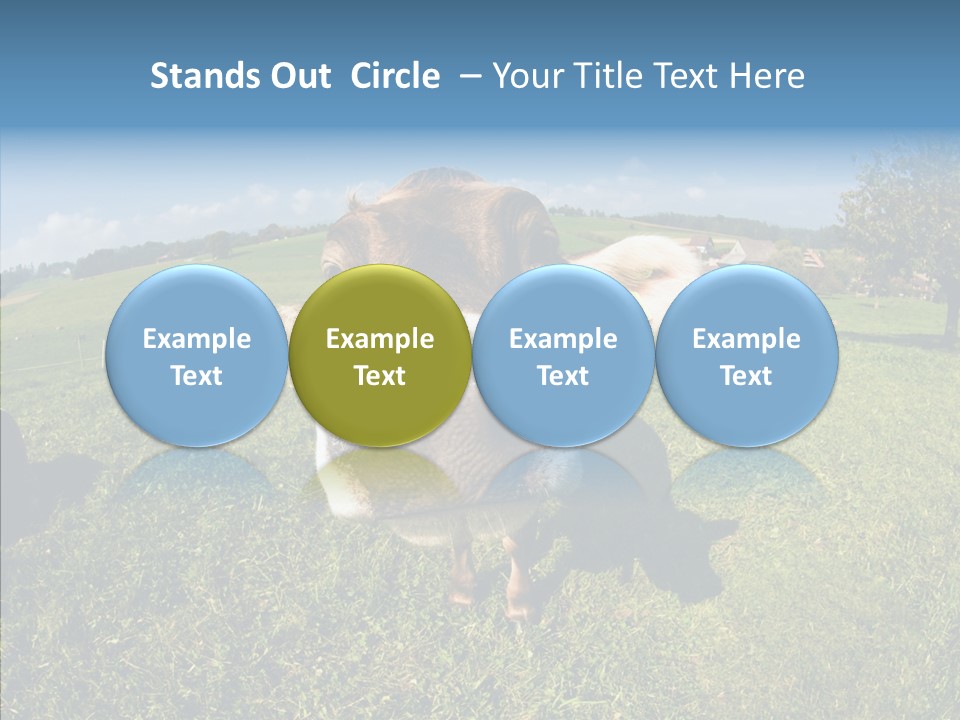 Hay Fish Sky PowerPoint Template