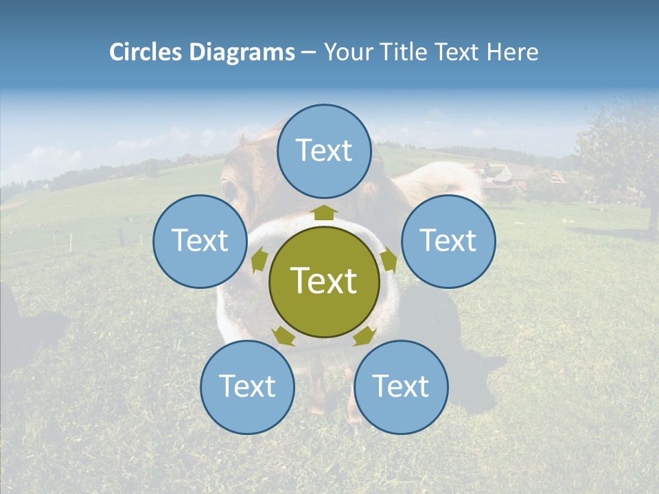 Hay Fish Sky PowerPoint Template