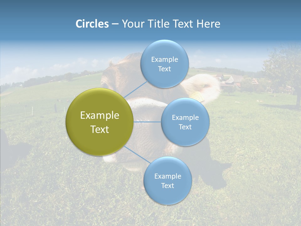 Hay Fish Sky PowerPoint Template