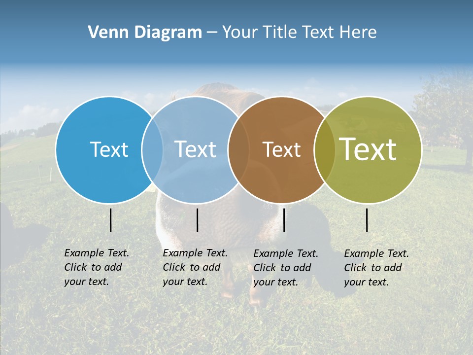 Hay Fish Sky PowerPoint Template