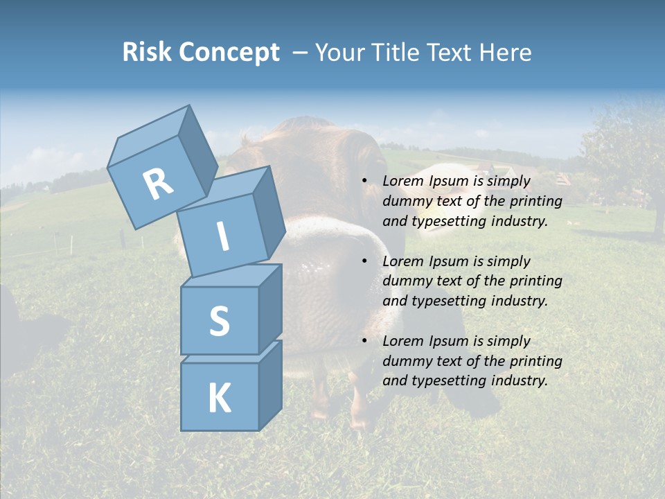 Hay Fish Sky PowerPoint Template