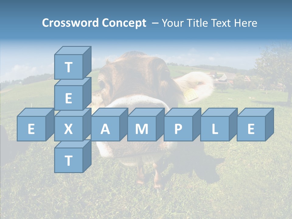 Hay Fish Sky PowerPoint Template