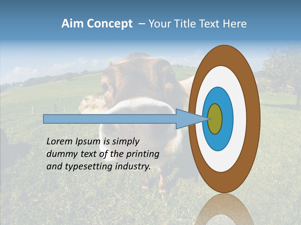 Hay Fish Sky PowerPoint Template